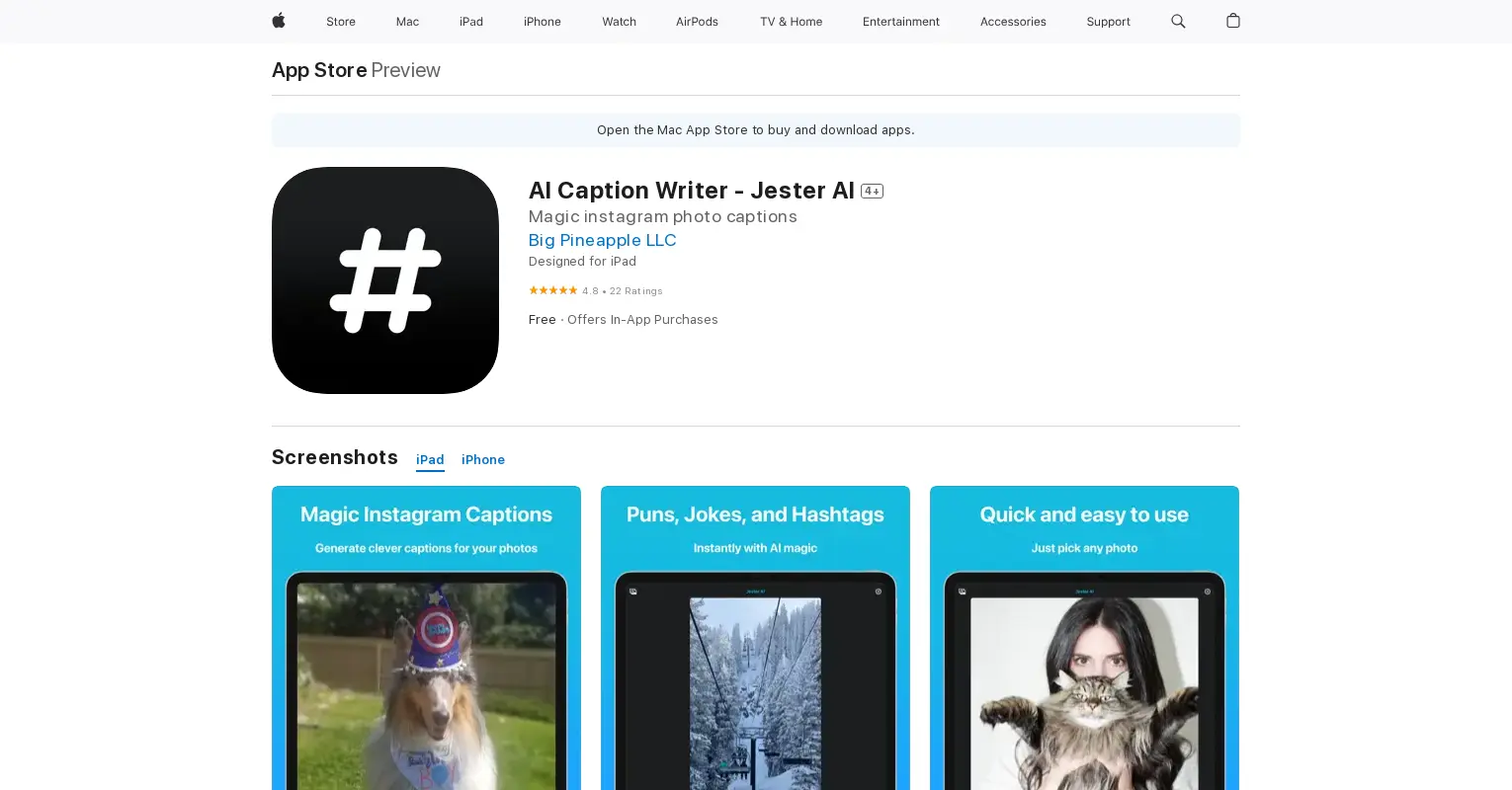 Jester AI – Caption Writer
